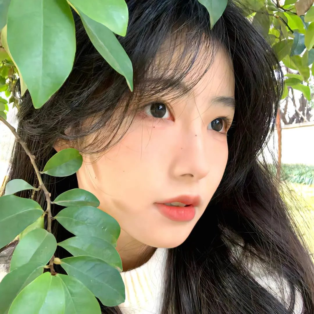 夏日痴魂